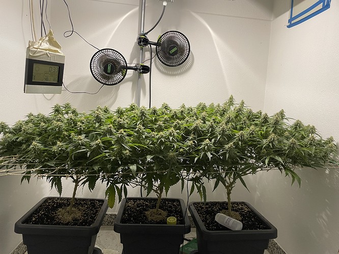 Growreport Bild 6