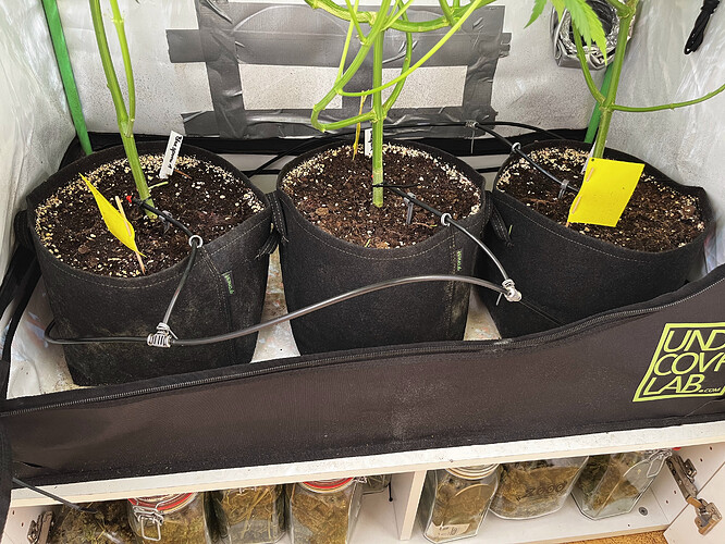 Growreport Bild 14
