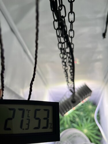 Growreport Bild 23