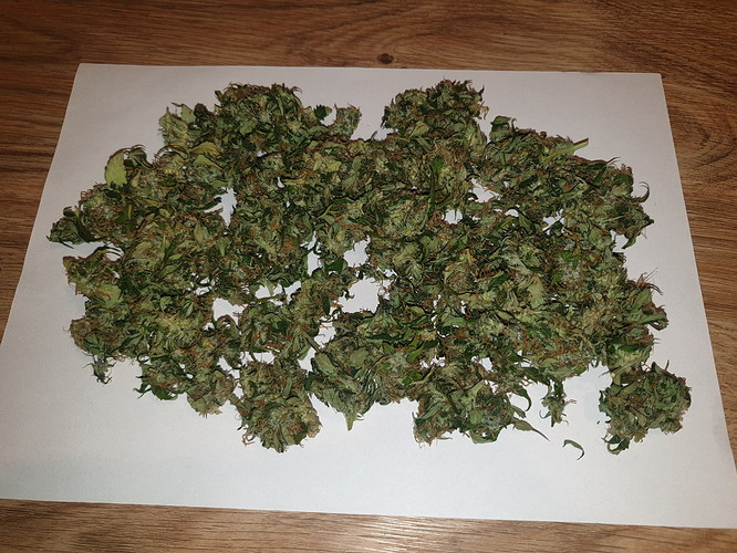 Growreport Bild 3