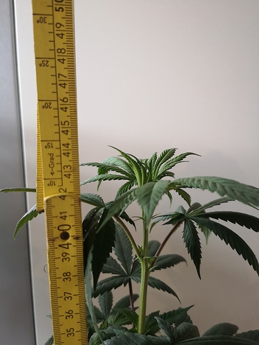 Growreport Bild 5