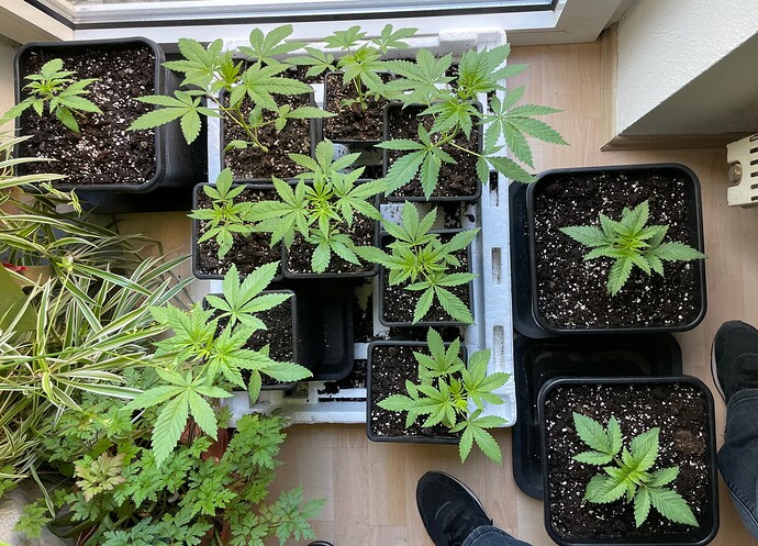 Growreport Bild 16