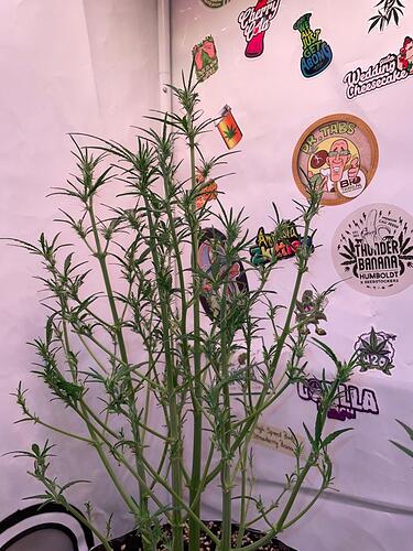 Growreport Bild 5