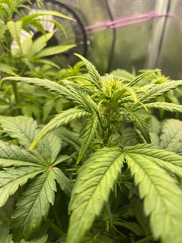 Growreport Bild 7
