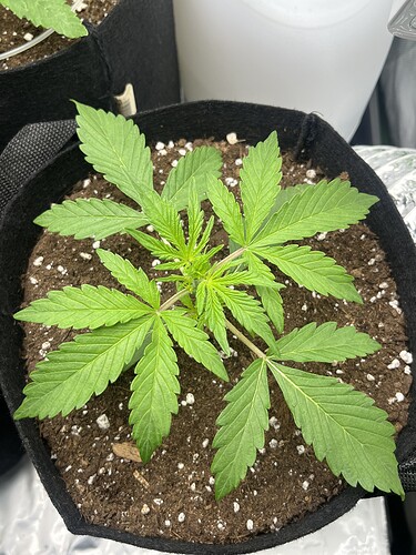 Growreport Bild 24