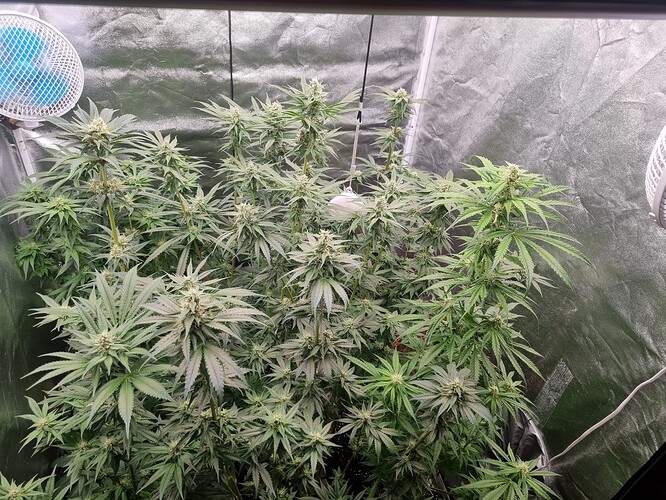 Growreport Bild 4