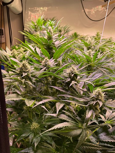 Growreport Bild 10