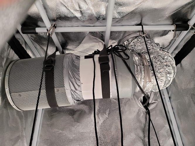 Growreport Bild 5