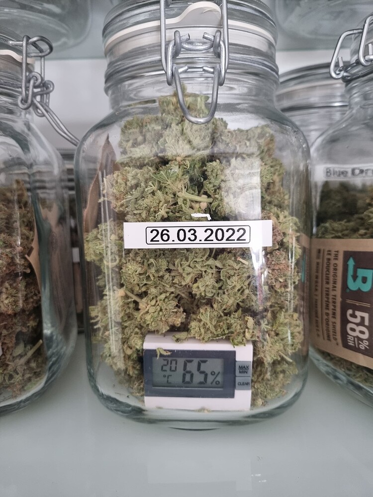 Nörd's sörd Grow... alles Hesi... Skunk #1, blue dream, AK-420 Automatics... modded Phlizon
