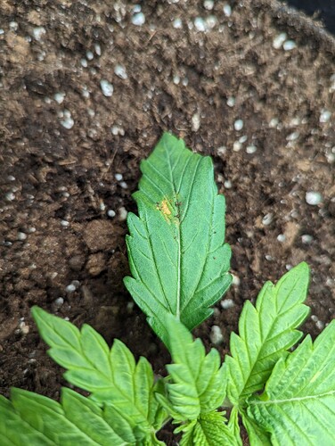 PXL_20231103_170452143