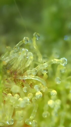 Growreport Bild 9