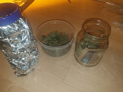 Growreport Bild 20