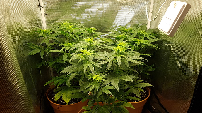 20201119_203010 - Kopie