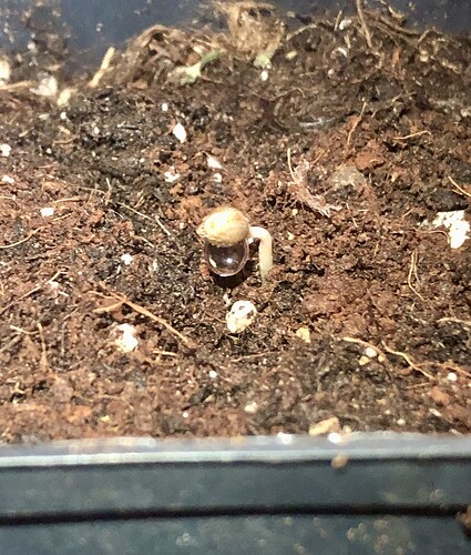 Growreport Bild 8