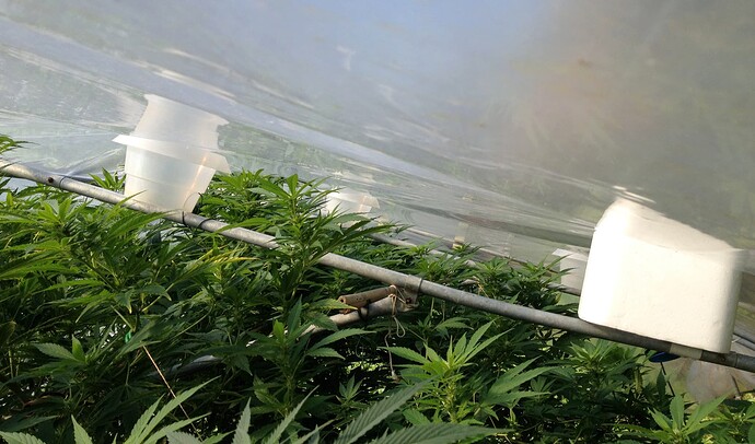 Growreport Bild 3