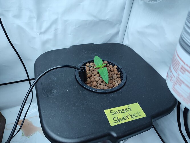 Growreport Bild 8