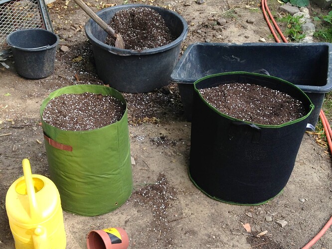 074_FastBudsZeltTag1_03