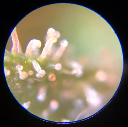 Growreport Bild 11