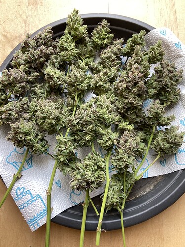 Growreport Bild 9