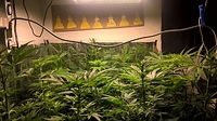 Growreport Bild 11