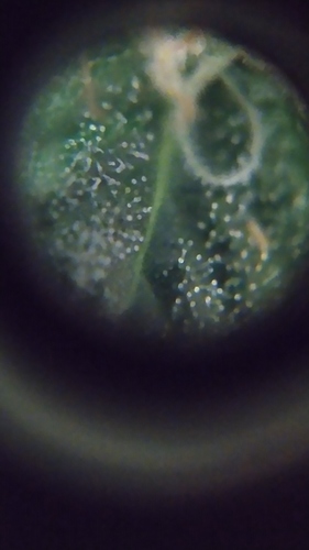 IMG_20200820_230209_1