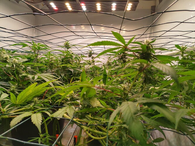 Growreport Bild 11