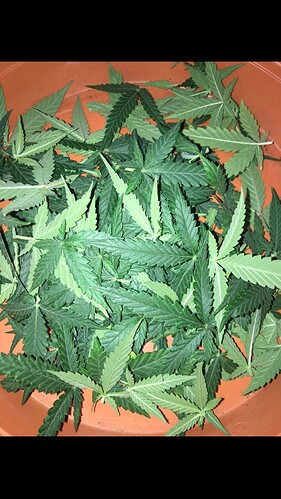 Growreport Bild 15