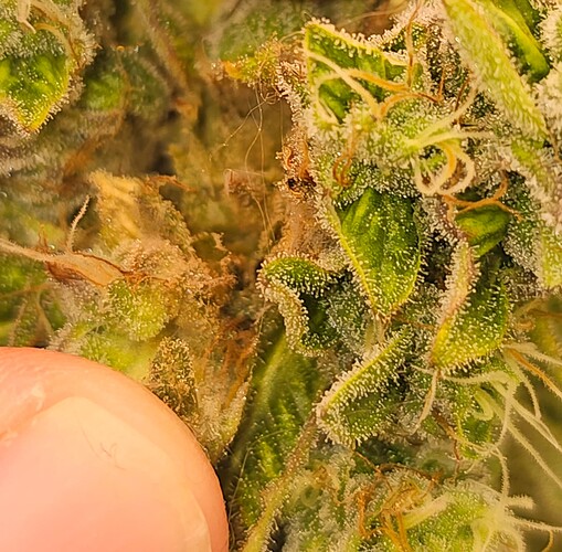 Growreport Bild 15