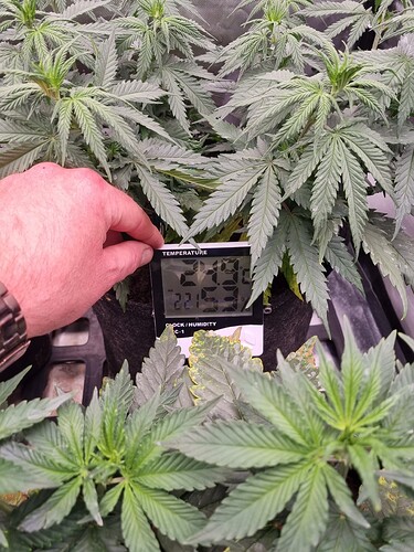 Growreport Bild 32