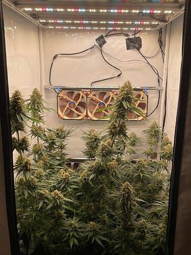 Growreport Bild 2