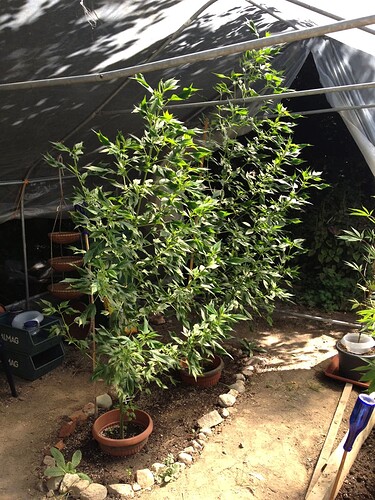 Growreport Bild 9