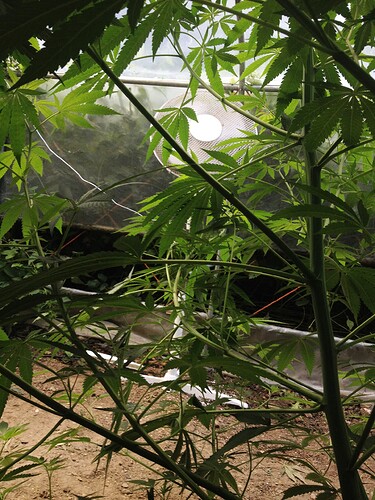 Growreport Bild 22