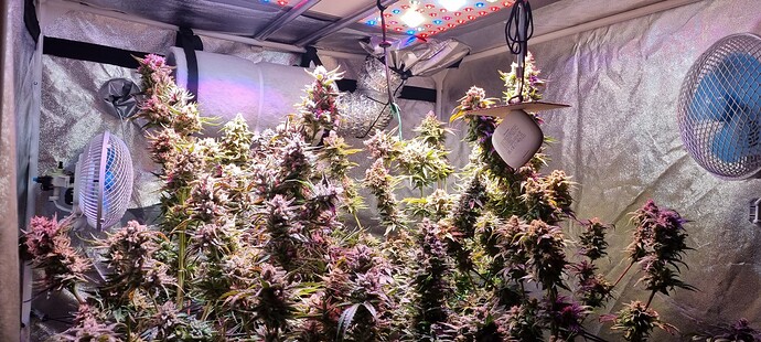 Growreport Bild 13