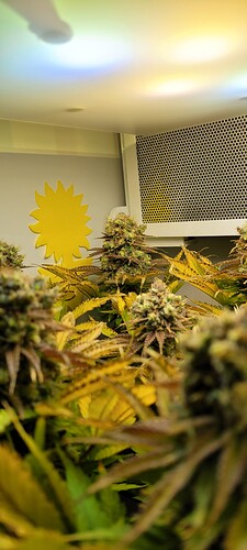 Growreport Bild 1