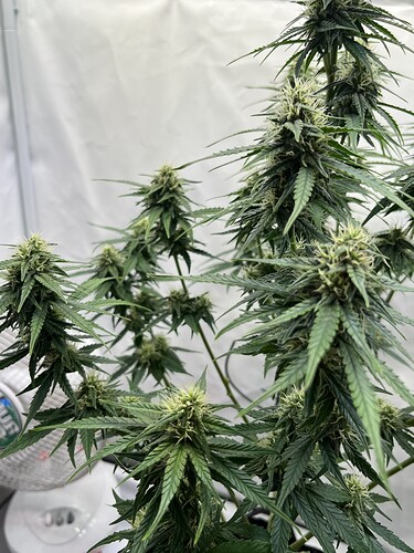 Growreport Bild 23