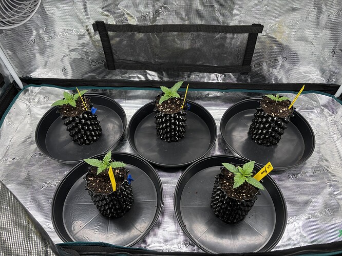Growreport Bild 18