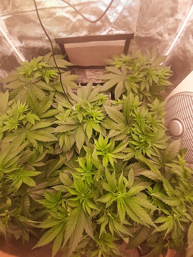 Growreport Bild 2