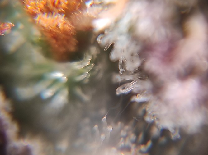Growreport Bild 9