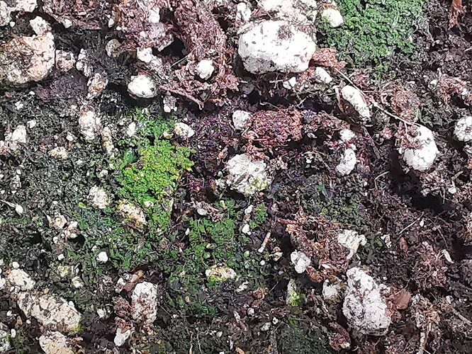 Growreport Bild 20