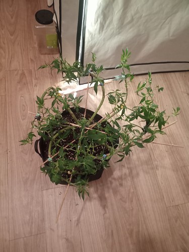 IMG_20210314_233444_976