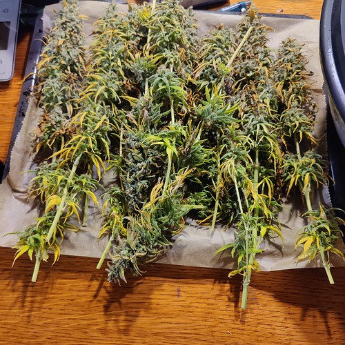 Growreport Bild 26