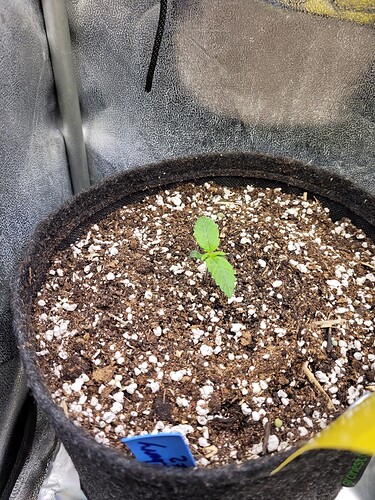 Growreport Bild 3