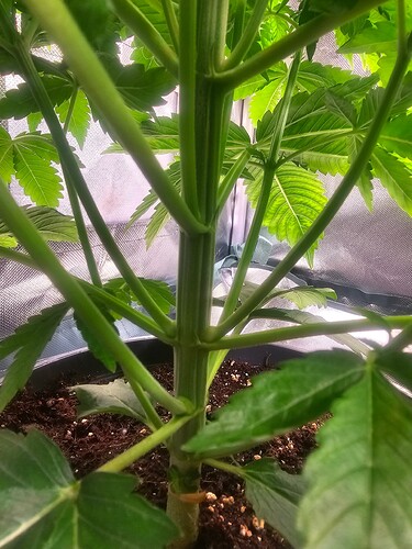 Growreport Bild 17