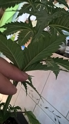Growreport Bild 14