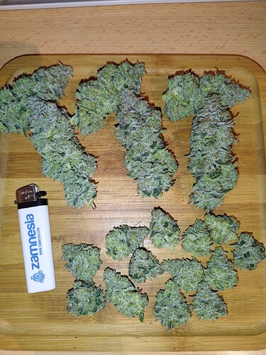 Growreport Bild 28