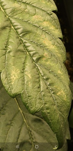 Growreport Bild 12