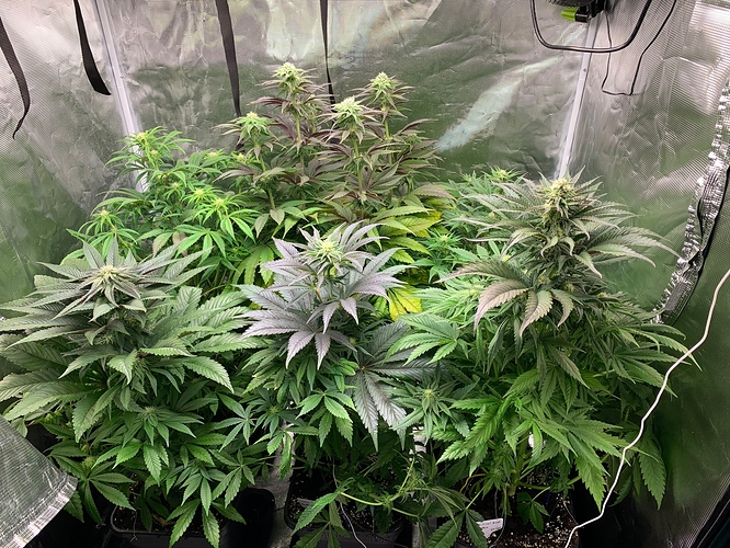 Growreport Bild 9