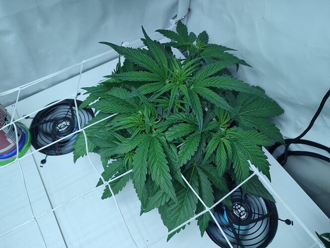 Growreport Bild 18