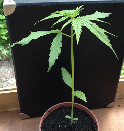 Growreport Bild 22
