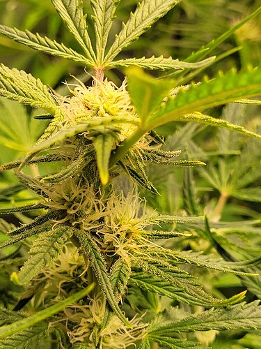 Growreport Bild 12